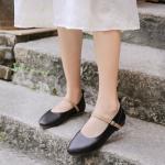 HZM043 Single Shoes Women'S Spring New Thick Heel Pointed Literary Single Shoes