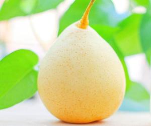 China Clarified aseptic Pear Juice Concentrate, 70 +/- 1 brix, packed in aseptic bag / steel drum factory