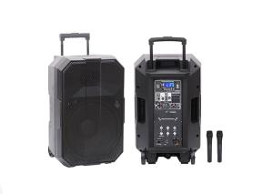 China 15 Inches Party Rechargeable Trolley Speaker 50W RMS Power 2 Way Type factory