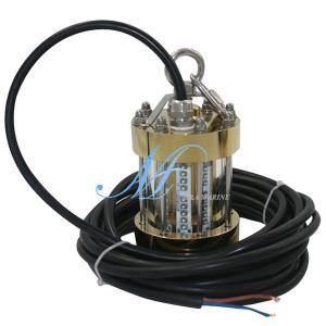 China Attracting Fish Lamp 480w factory