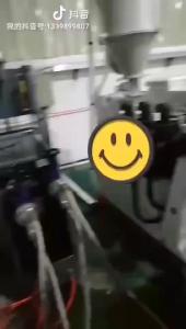 China JWELL-PEEK/PPSU/POM Rod Extruding Machine factory