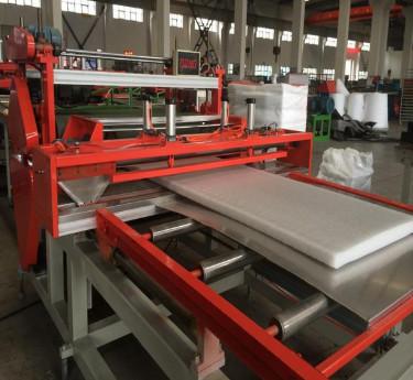 25 - 160 Kg/H Output EPE Foam Machine 25 - 80 Mm Thickness Making 1 Year