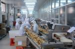 89 Baking Plates 9m Automatic Pressed Wafer Basket Machine