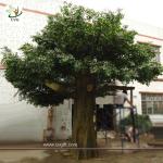 UVG glassfiber indoor green fake banyan tree tall silk trees for shopping center