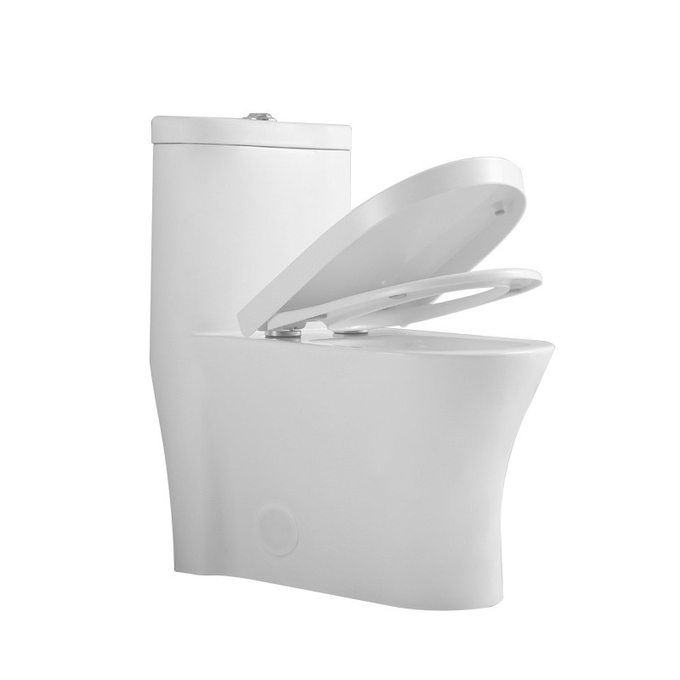 Commercial Ada Bathrooms Toilets For Physically Handicapped Challenged Person 0
