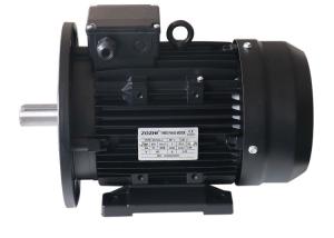 China 220v 380v IE3 1.1KW 1.5HP 3 Phase Induction Motor MS90L-6 factory