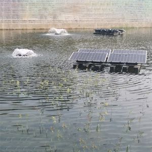 Portable Solar Powered Paddle Wheel Aerator Intelligent Control For Shrimp And