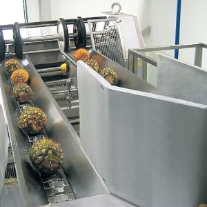 China 380V 50Hz Pineapple Processing Line For Concentrated Juice factory