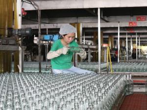 China Optimize Your Production Process with Glass Bottle Production Line factory