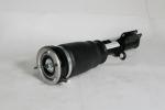 Front BMW Struts Air Suspension Ride Struts for X5 E53 37116757501