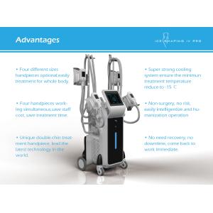 China Cryolipolysis fat freeze slimming machine cryolipolysis fat freeze slimming machine on sale