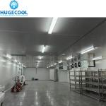 Industrial 20FT Cold Storage Room with Refrigeration Unit Optimal Cooling