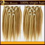 Light color Personalized European Straight Real Hair Clip In Hair Extensions