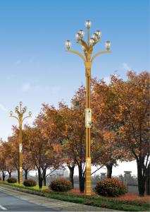 China 150 Watt Commercial Outdoor Led Light street light With Pole Security Lighting Magnolia flower shape combination light factory