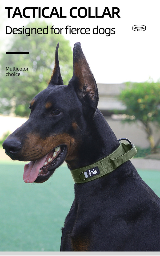 Tactical Dog Collars And Leashes For Medium To Large Dogs In Black
