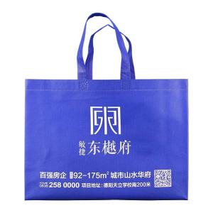China Heat Transfer Non Woven Polypropylene Shopping Bags Blue Anti Pull factory
