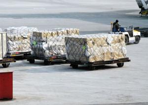 China Guangdong To North American Freight Forwarding Land Transport factory