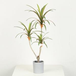 China Cement Pot Artificial Dragon Faux Bonsai Tree Indoor Decoration 68 CM 76 CM factory