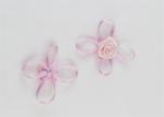 Fancy Craft Ribbon Bows Hair Accessories , Pretty Ribbon Bows Woven
