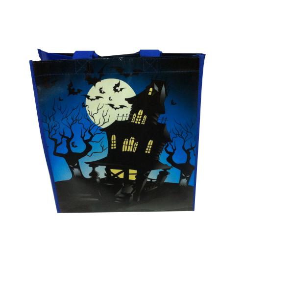 China Freeuni Sedex audit China OEM &ODM Available Reusable Packaging Laminated PP Woven Bag factory