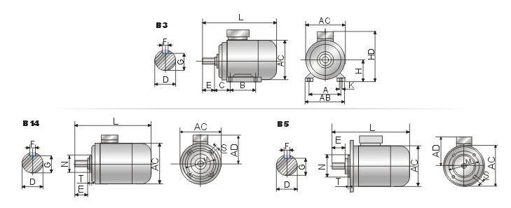 motor data 