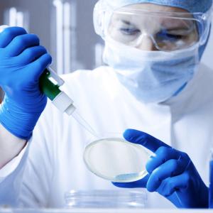 China ISO14001 6Mil Nitrile Medical Examination Gloves Disposable Safety Gloves factory