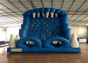 China Blue Rock Climbing Bounce House 6 X 4m Commercial Inflatable Ladder Climb factory