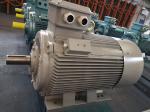 IE5 Industrial AC Motors Asynchronous AC Electric Motor 30kw Three Phase