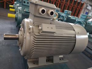 China 6kv 10kv Medium Voltage Squirrel Cage Induction Motor Three Phase Inverter factory