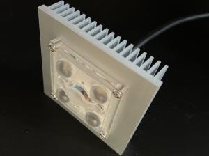 China Outdoor Lighting 4 In 1 SMD 5050 LED Module 10W-15W With 150x75 Degree Lens Waterproof factory