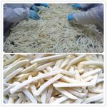 10kw Power Stainless Steel French Fries Processing Machine Equipment for 900 KG