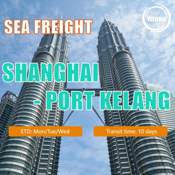 Sea Freight From China to Southeast Asia Indonesia Malaysia Singapore Philippine