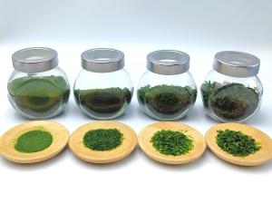 China Umami Pacific Sprinkle Nori Aonori Dried Seaweed Powder Authentic Japanese Seaweed Ingredient 10kg factory