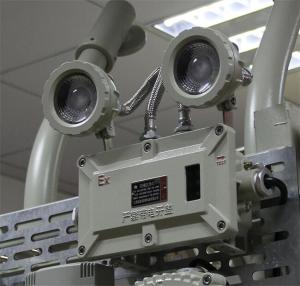 China IP65 Flameproof LED Emergency Light with CRI Ra&gt;80 factory