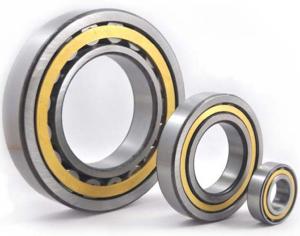 China N NF NN NUP NU cylindrical ball bearing NJ 2326 ECMA / C4 brass cage bearing factory