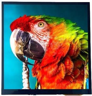 China                    7.5inch 800X800 IPS Highlight Square LCD Display with Pcap & Optical Bonding              factory