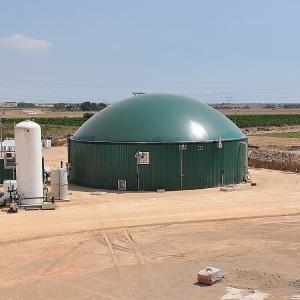 China 3000M3 Green Double Membrane Biogas Dome , Automatic Control Bio Gas Holder factory