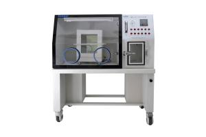 China YQX Anaerobic Chamber Incubator Medical Equipment High Performance factory