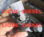 BOSCH Fuel Injector 0445110388 0445110387 0 445 110 388 0 445 110 387 For HUATAI