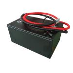 48V 105AH Lithium Golf Cart Battery Green Energy Lifepo4 Deep Cycle