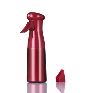 China Sealing Type Pump Sprayer 200ml 300ml Plastic Continuous Spray Bottle for Cosmetic Salon factory