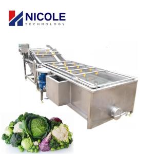 China 220V - 440V Fruit Vegetable Cleaning Machine Multifunctional 100 - 2000kg/h factory
