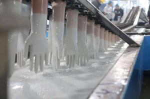 China Small Nitrile gloves machine machines for gloves production line medical gloves factory