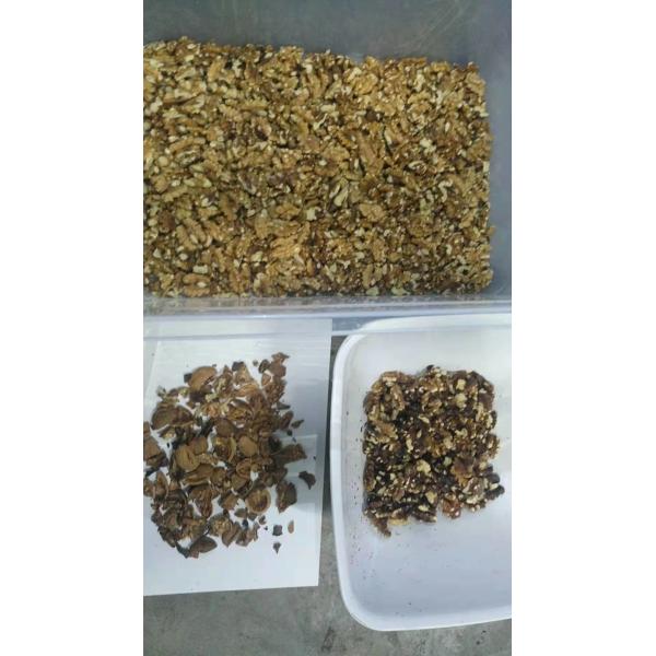 Automatic Walnut Color Sorter Processing Machine RGB Sorting Machine Cashew Nut Color Sorting Machine