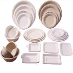 9 Inch Round Pulp Plate Biodegradable Sugarcane Disposable Food Plate