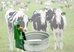 Farm Animal Stainless Steel Water Trough Large Stainless Steel Water Tanks