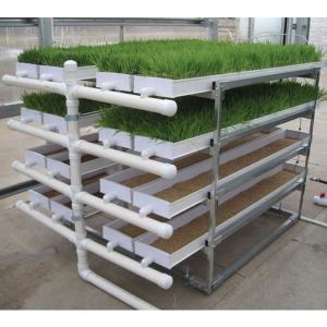 China Grass Hydroponic Fodder Machine Livestock Big Farm Fodder Growing Systems factory
