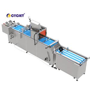 CYCJET CVI 450-VD Automated Visual Inspection Machine For Coding Machine