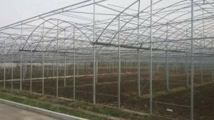 China Easy Install Plastic Film Greenhouse , Dome Shaped Greenhouse Span Width 6 / 8 / 10m factory