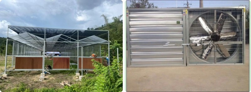 Low Cost Polycarbonate Sheet Greenhouse For Bananas Cucumber Tomatoes Lettuce